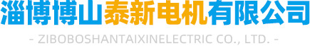 淄博博山泰新電機有限公司